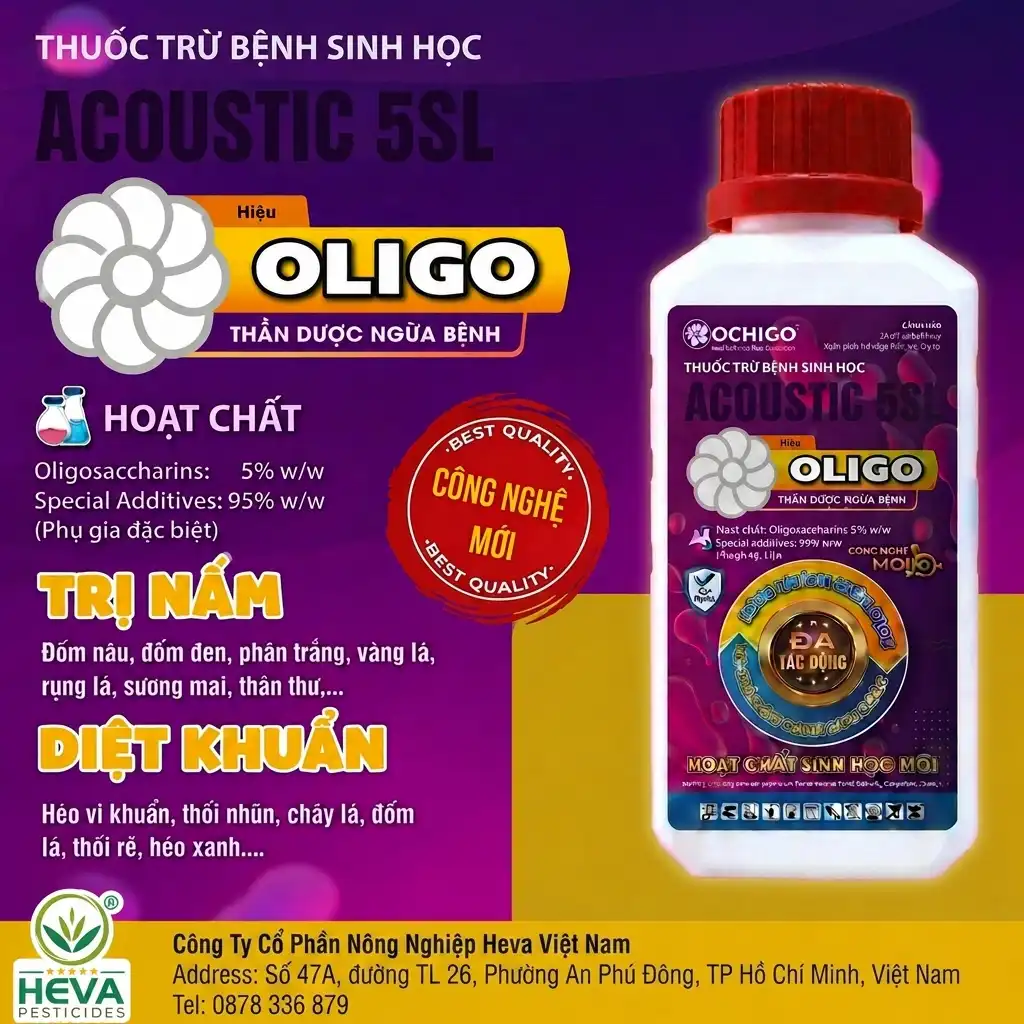 Sản phẩm 1 #2